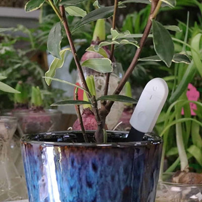 Hygromètre pour plante indicateur LED