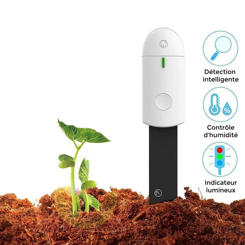 Hygromètre pour plante indicateur LED