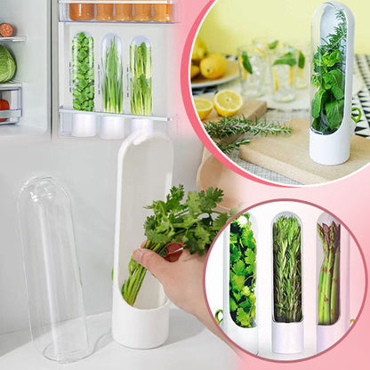 Boite Herbes fraiches conservation - Fraîcheur-Sympa™