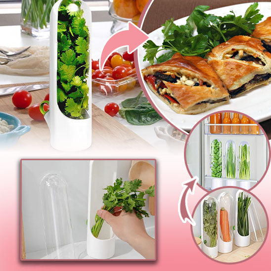 Boite Herbes fraiches conservation - Fraîcheur-Sympa™