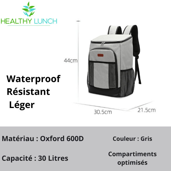 Sac à Dos Isotherme Gris 30L