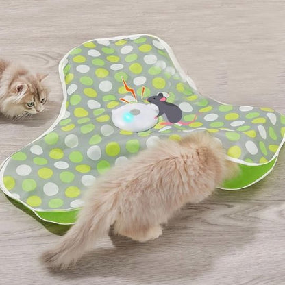 Jeu pour chat | Cache'Cache Souris