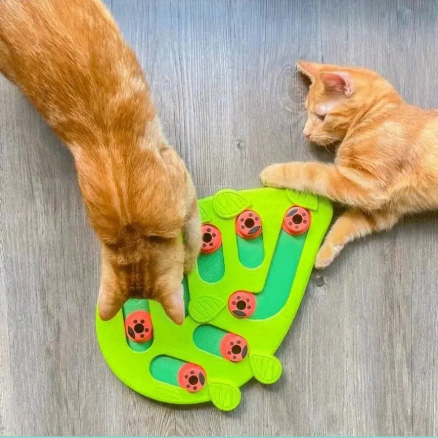 jeu pour chat | Feuille Puzzle