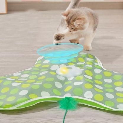 Jeu pour chat | Cache'Cache Souris
