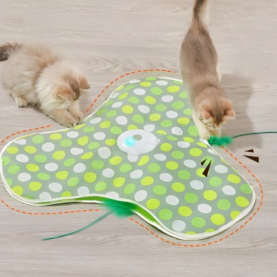 Jeu pour chat | Cache'Cache Souris