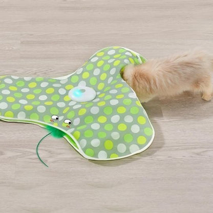 Jeu pour chat | Cache'Cache Souris