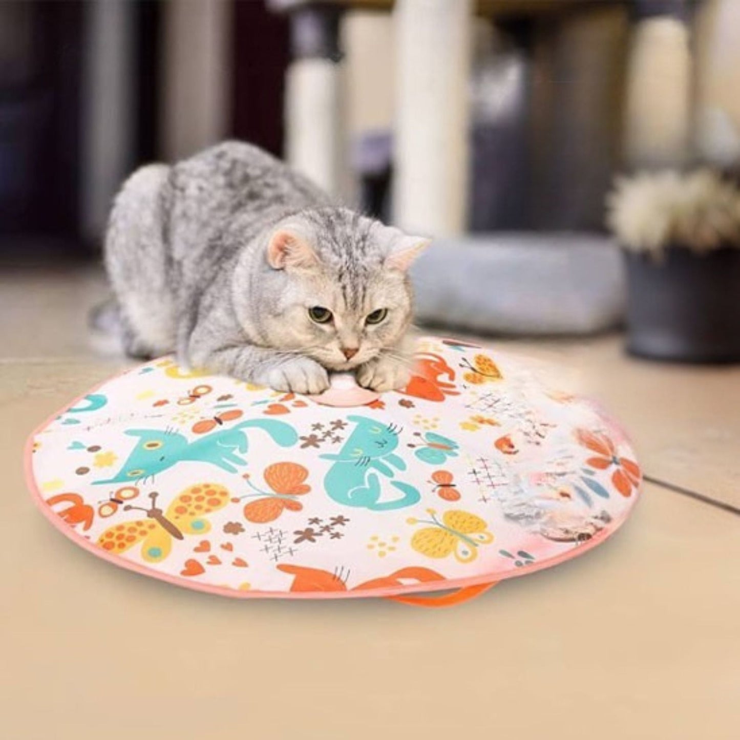 jouet chat intercatif | JOUTAPIS