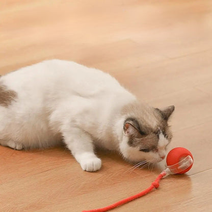 jouet chat interactif |SPEEDY BALL CAT