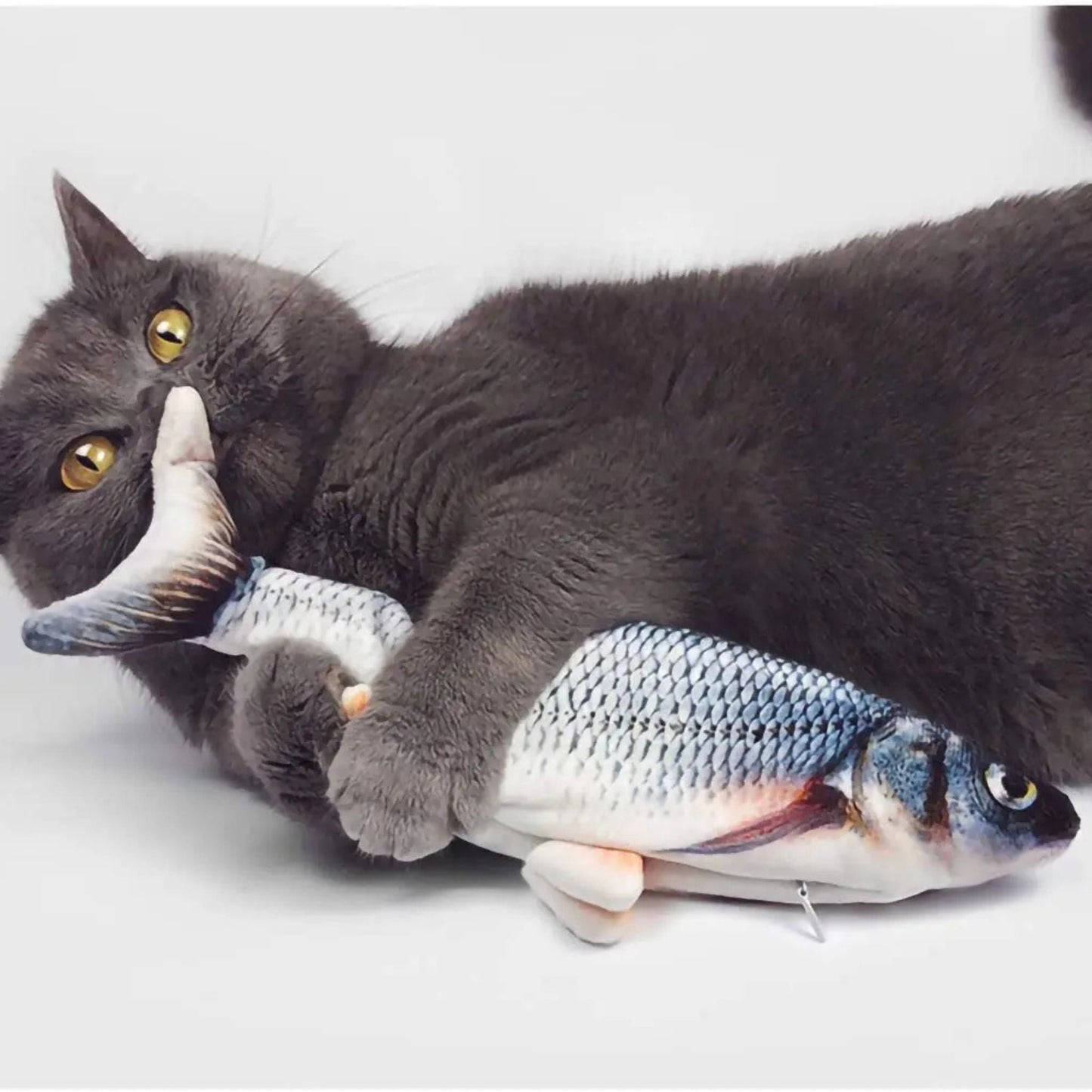 jouet chat interactif | JOUFISH