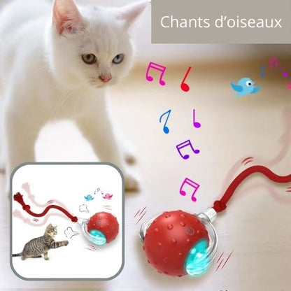 jouet chat interactif |SPEEDY BALL CAT