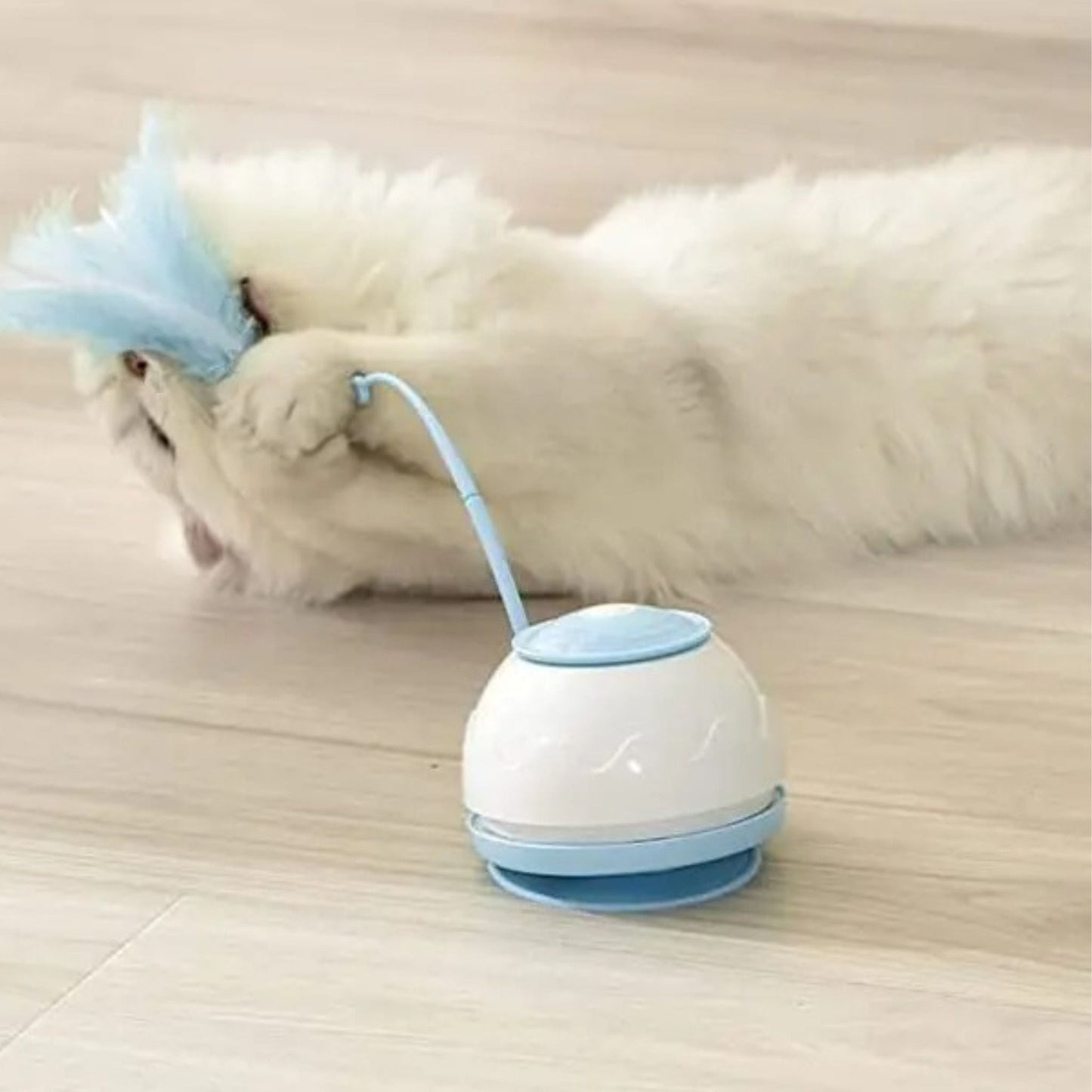 jouet chat intercatif | JOUTAPIS