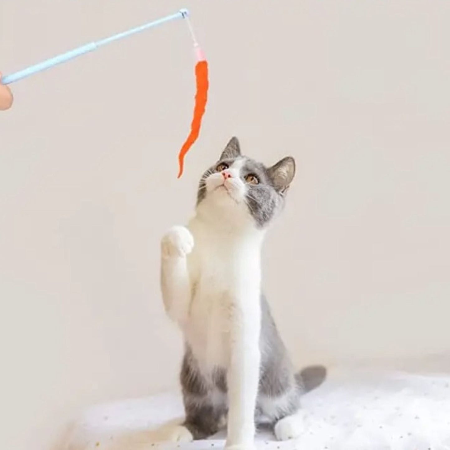 jouet chat intercatif | JOUTAPIS