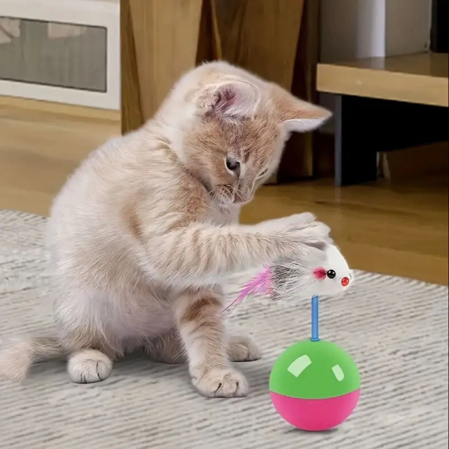 jouet pour chat | JOUMOUSE'BALL