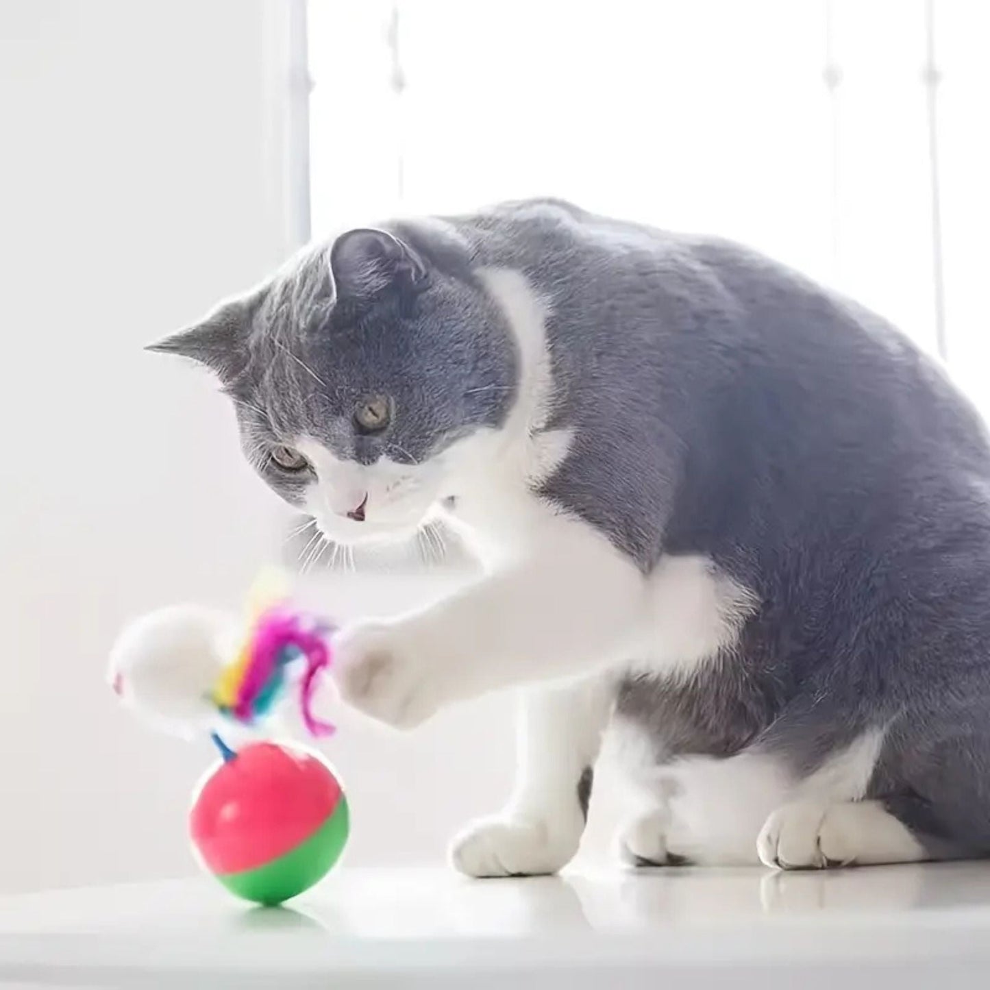 jouet pour chat | JOUMOUSE'BALL