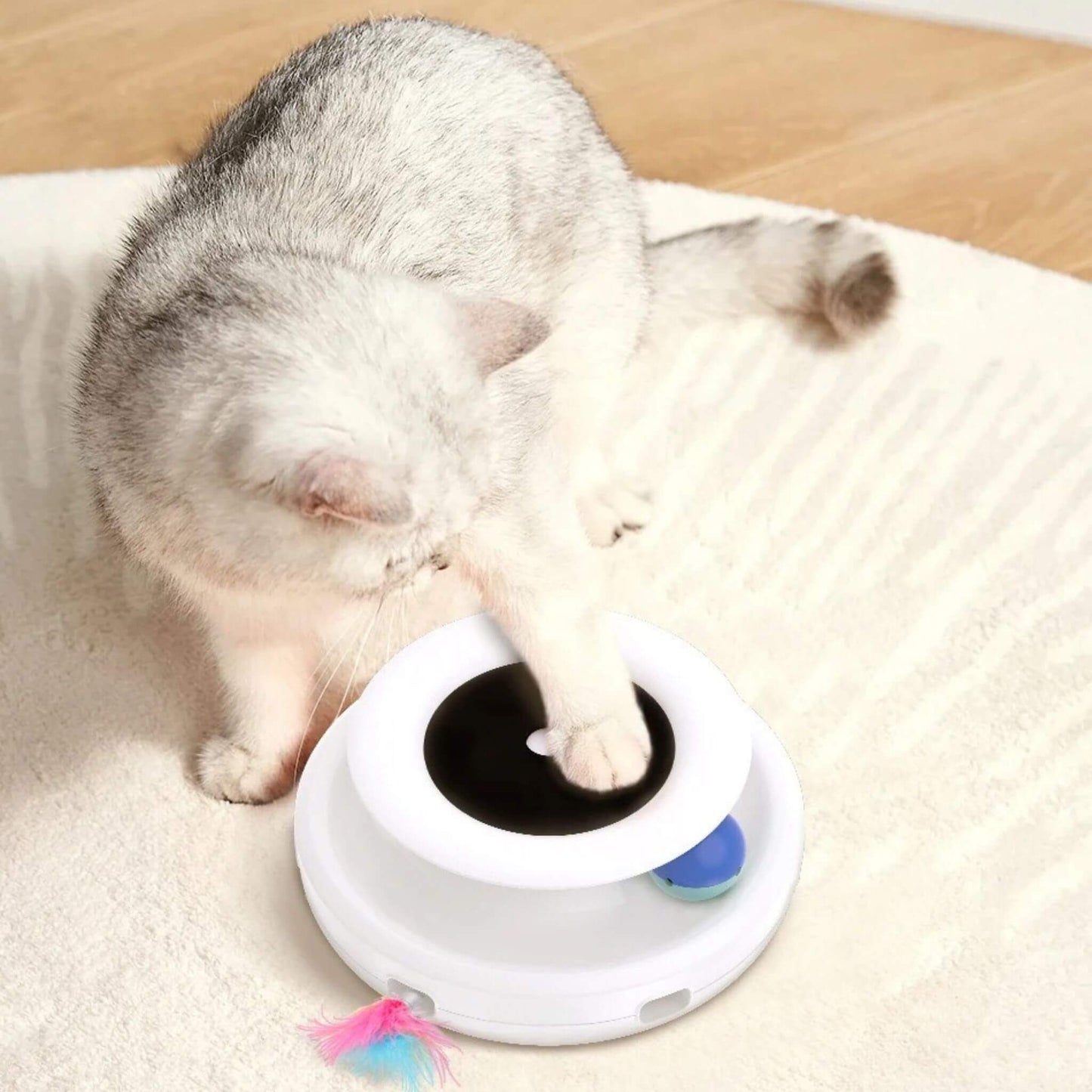 jouet robot chat | Chaton’Joueur
