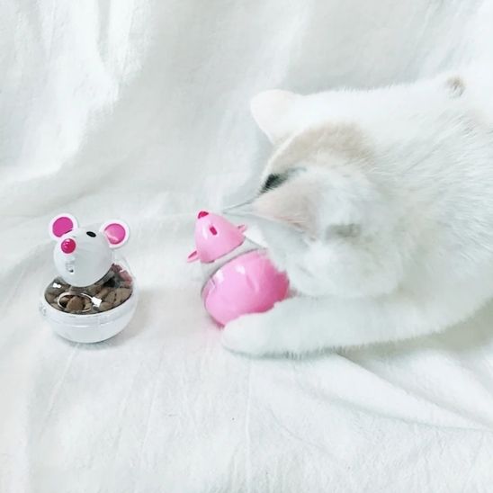 Jouet souris pour chat | DISTRI MOUSE