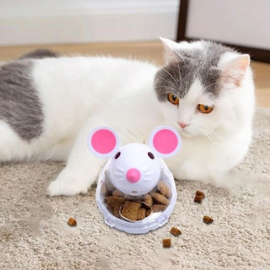 distributeur croquettes chat | DISTRI MOUSE