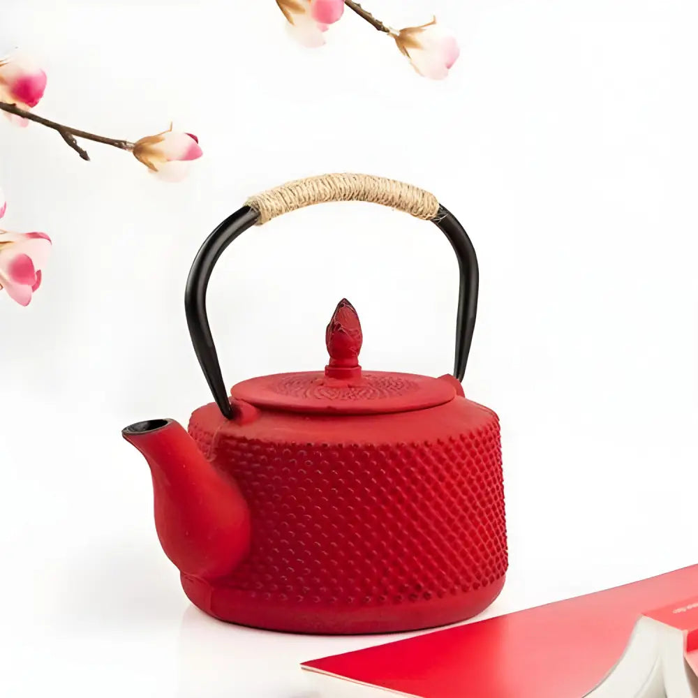 La Théière en Fonte Japonaise Rouge