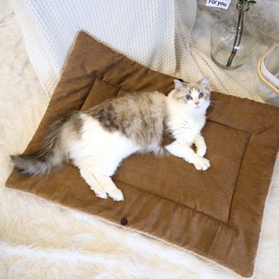 lit pour chat |MULTIDODO - Happy minet