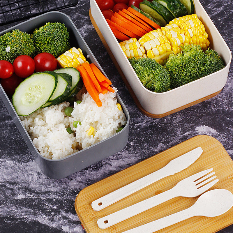 Bento Japonais Gris