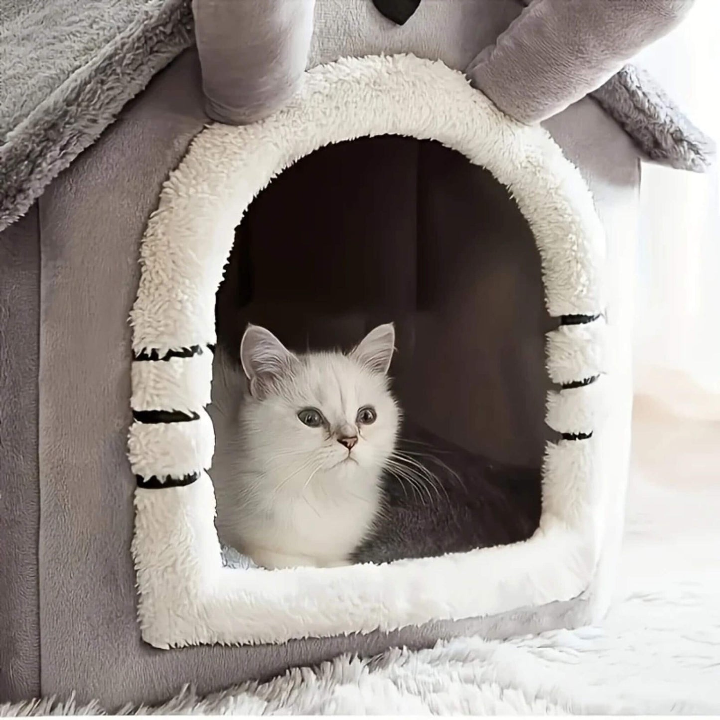 maison chat | La Tanière Confort