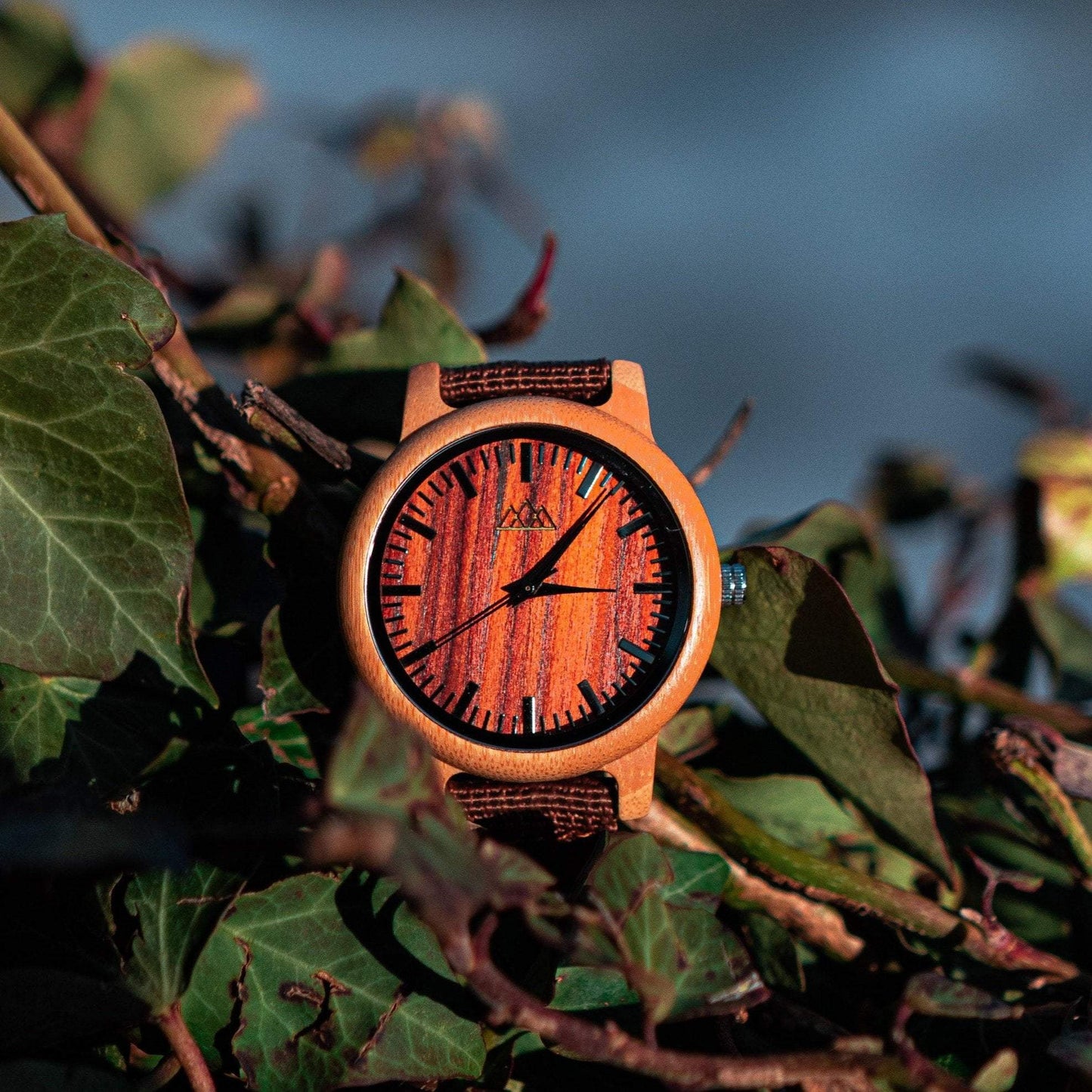 Montre Bois Essentiel - Pur Forest