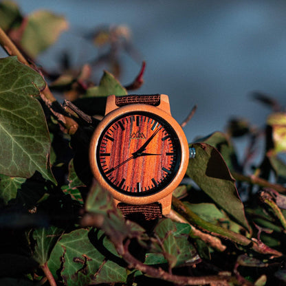 Montre Bois Essentiel - Pur Forest