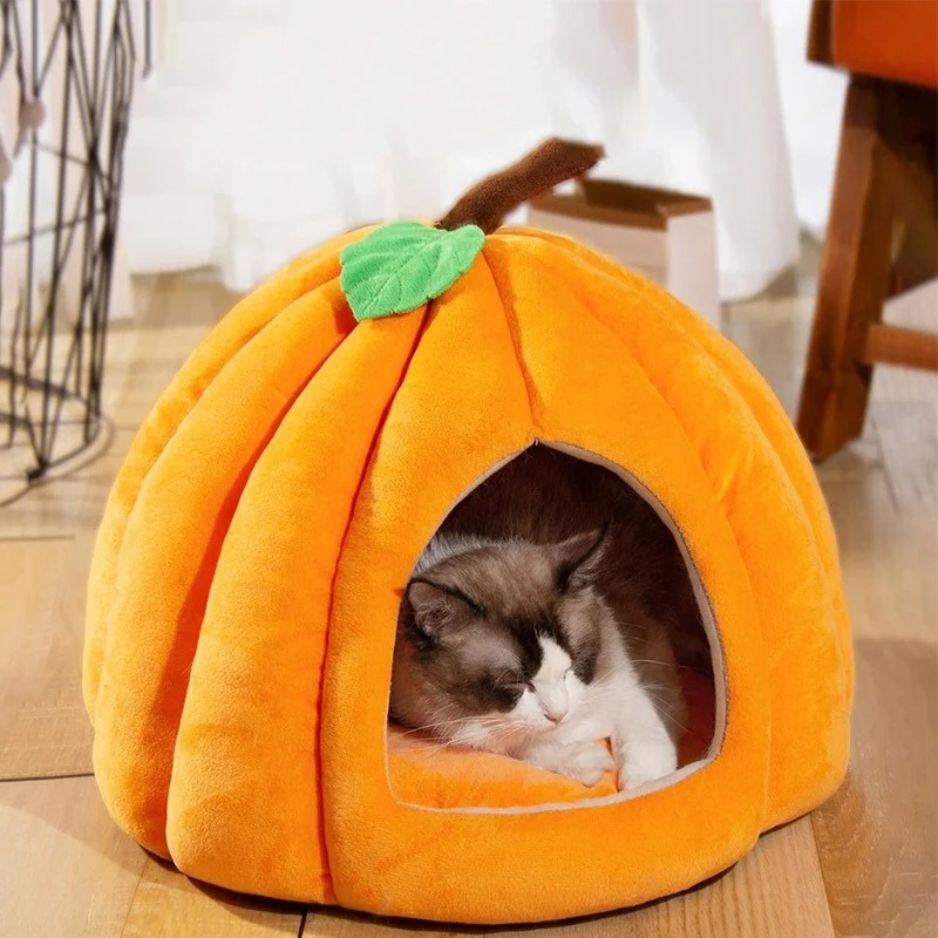 niche à chat citrouille