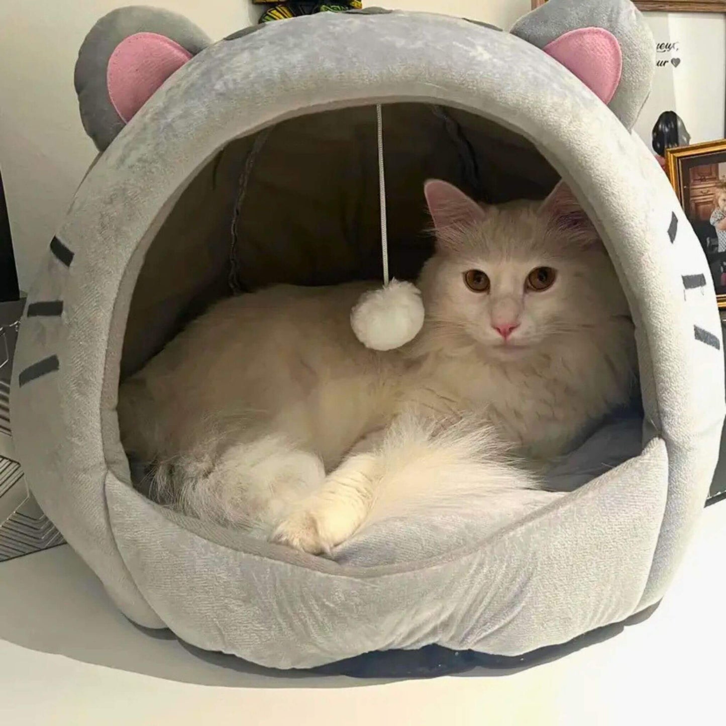 NICHE A CHAT | Le Palais des Ronrons