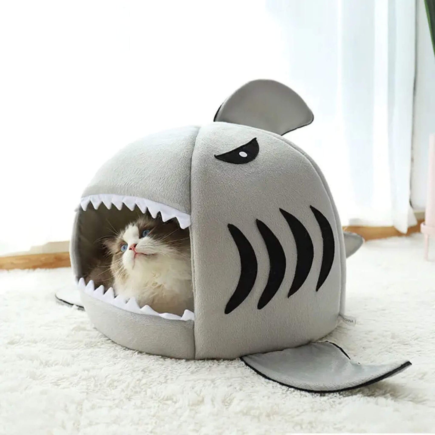 niche chat | Sharknook