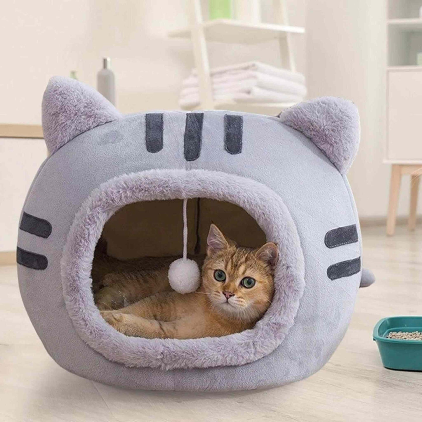 Niche chat | La Cachette des Curieux