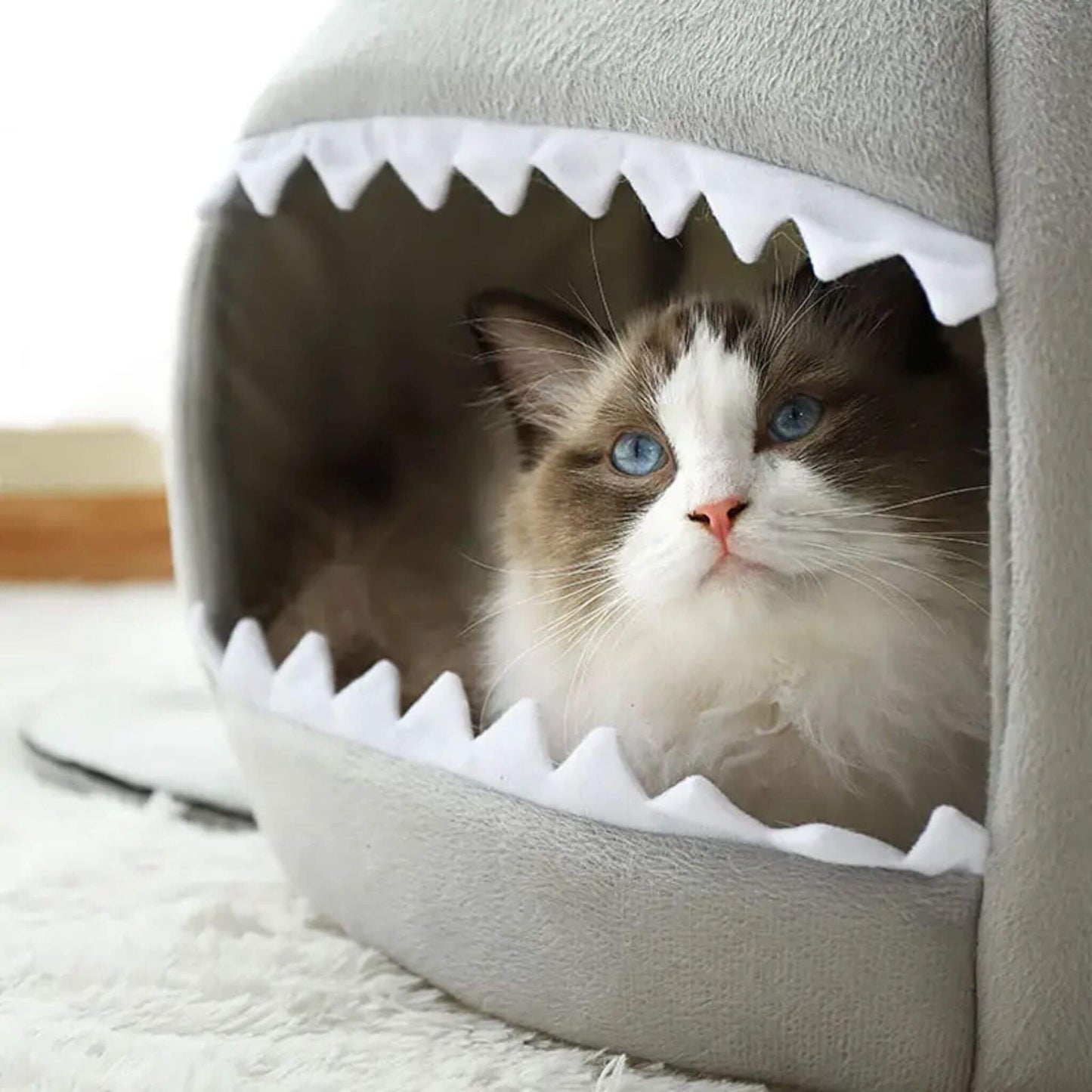niche chat | Sharknook