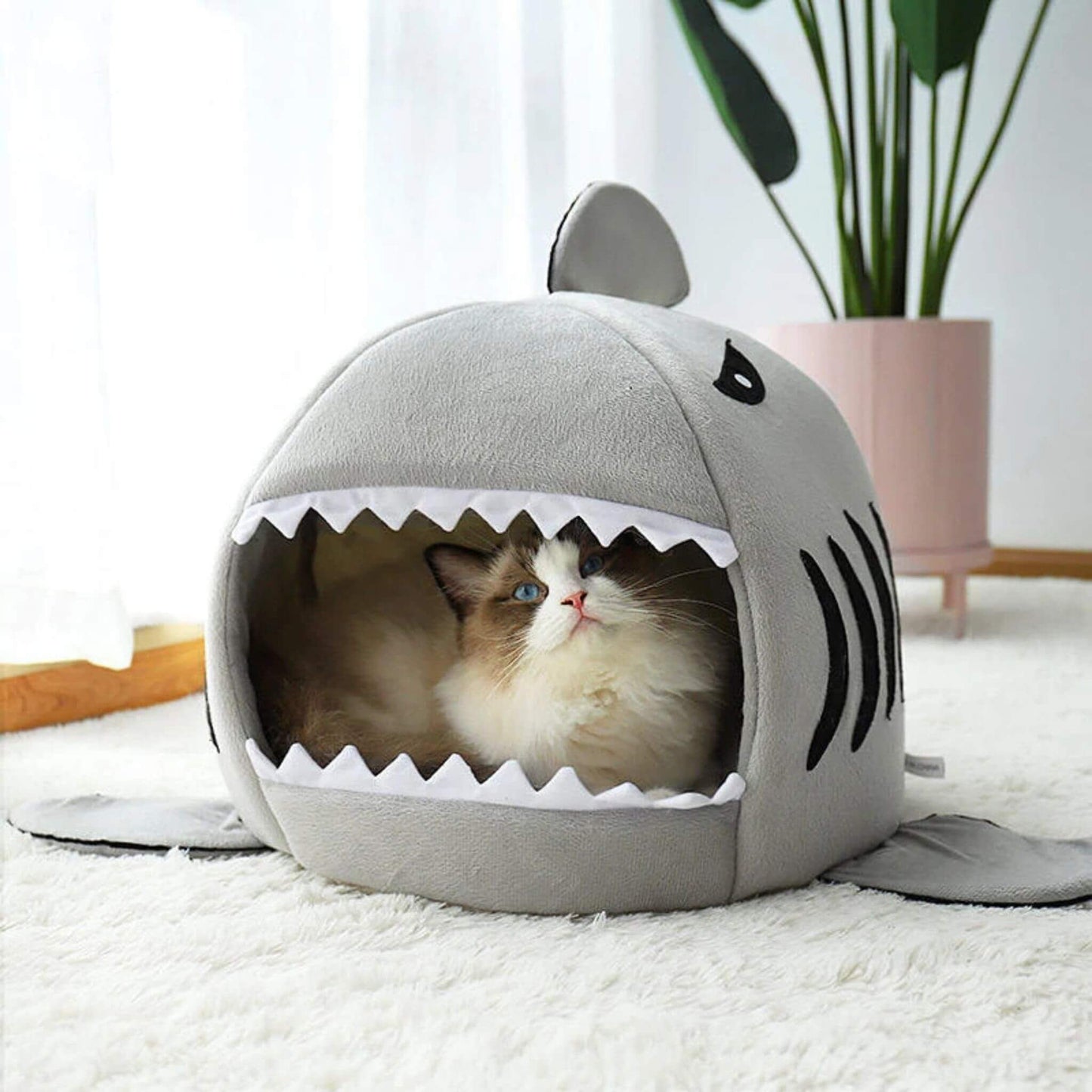 niche chat | Sharknook