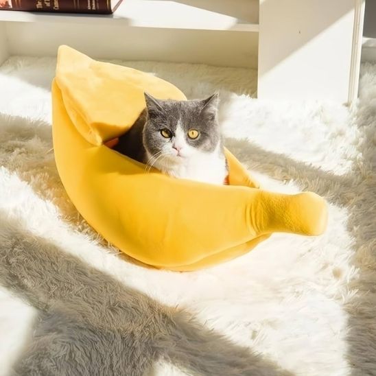 niche pour chat | CHABANANE
