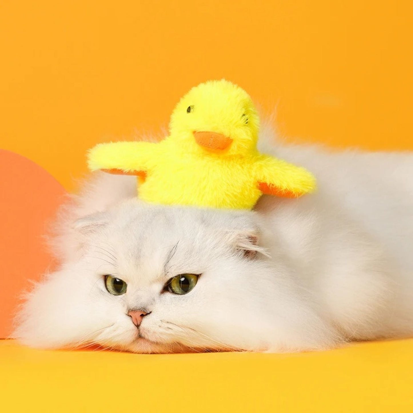 oiseau pour chat | JOUPOUSSIN