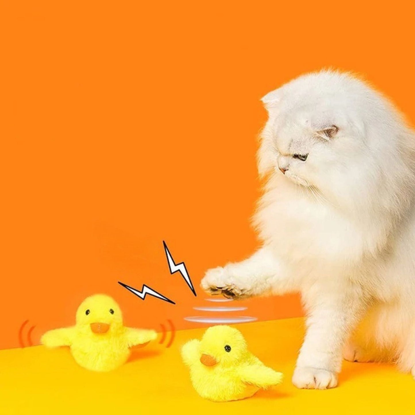 oiseau pour chat | JOUPOUSSIN