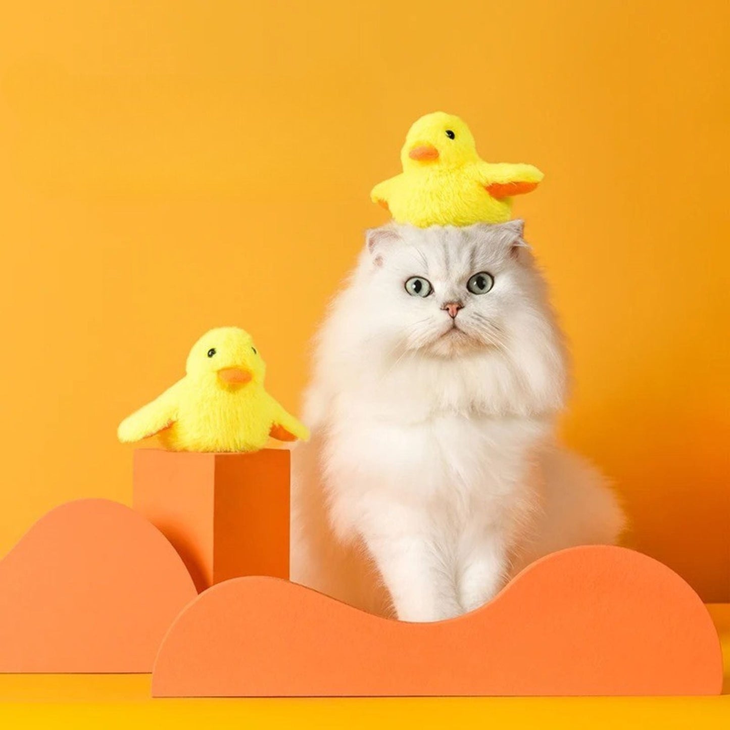 oiseau pour chat | JOUPOUSSIN