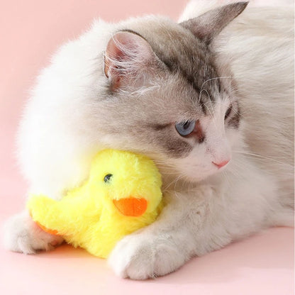 oiseau pour chat | JOUPOUSSIN