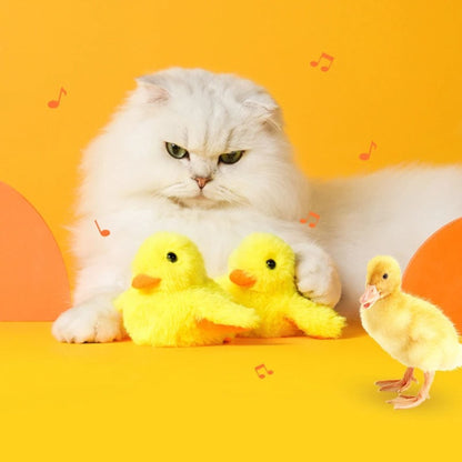 oiseau pour chat | JOUPOUSSIN