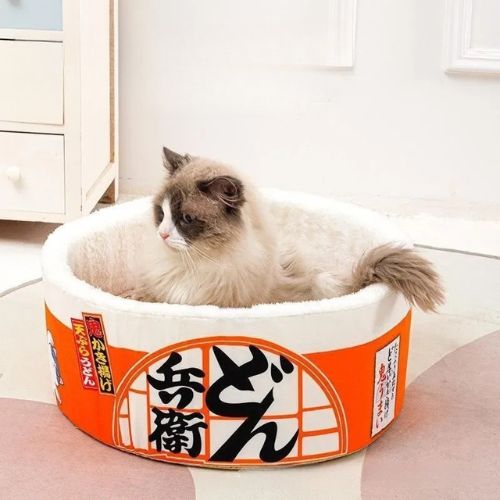 niche pour chat nouilles japonaises