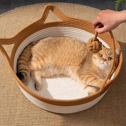 panier chat osier oreilles