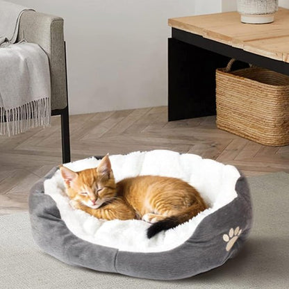 panier chat patte