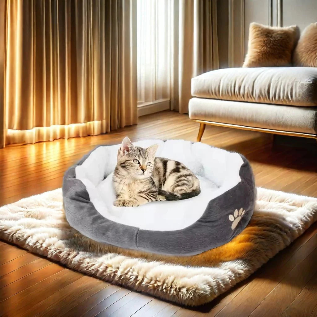 panier chat patte