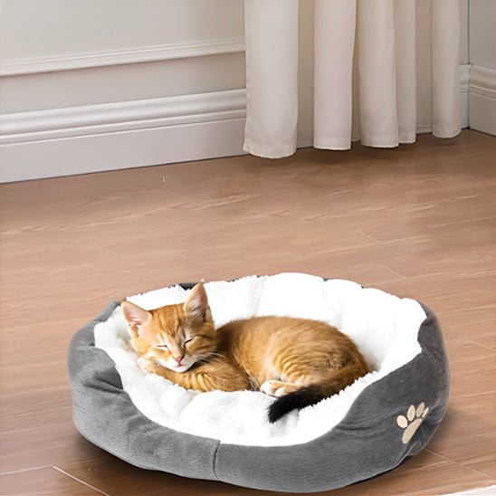 panier chat patte