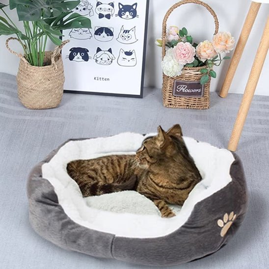 panier chat patte