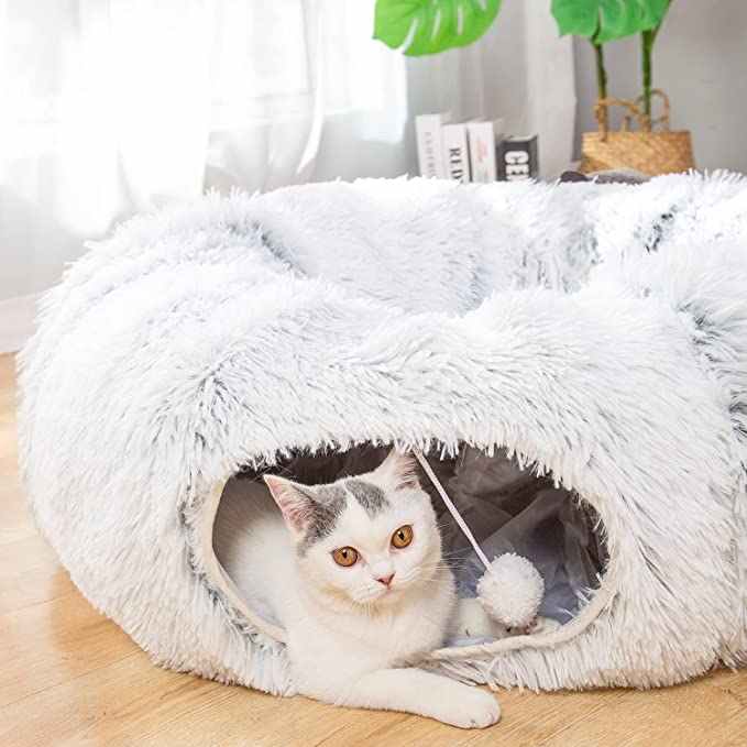 panier chat tunnel
