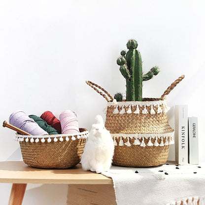 Panier en Jonc de Mer pour Cactus