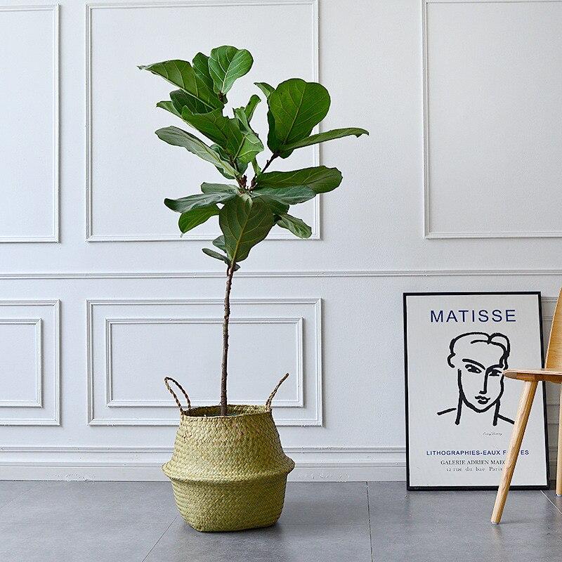 Panier Jonc de Mer pour Plante d'Intérieure