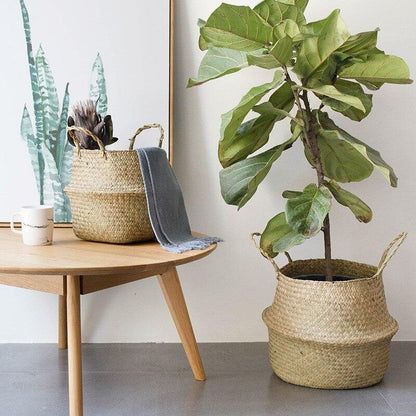 Panier Jonc de Mer pour Plante d'Intérieure