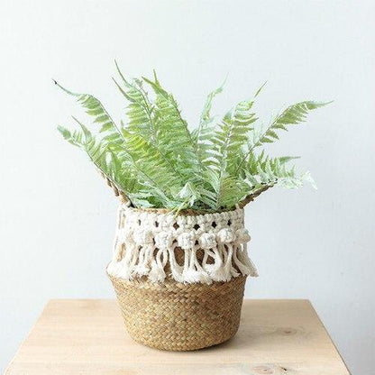 Panier Jonc de Mer Plante macramé